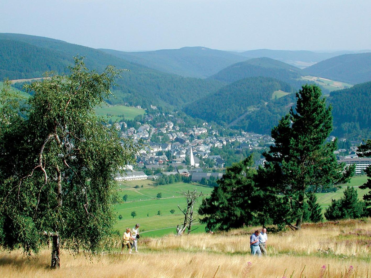 Chalet La Belle Willingen Willingen  Luaran gambar